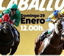 Event grid carrera de caballos 29 enero