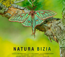 Event grid natura bizia