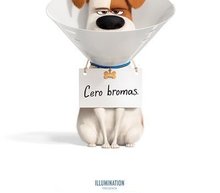 Event grid mascotas 2 77730