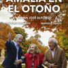 Event s cartel amalia en el otono 2