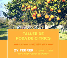 Event grid cartell curs podacitrics