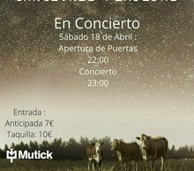 Event grid humo sapiens concierto yuncler