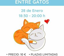 Event grid whatsapp image 2021 01 21 at 21.37.49
