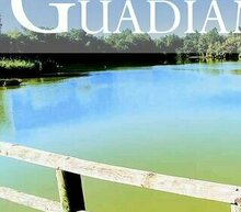 Event grid ventana al guadiamar 02