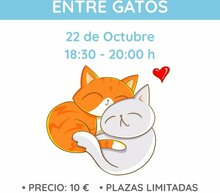 Event grid whatsapp image 2020 10 18 at 12.01.53
