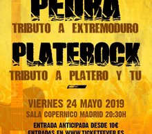 Event grid pedra platerock