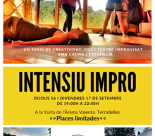 Event grid flyer slow impro