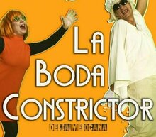 Event grid boda constrictor