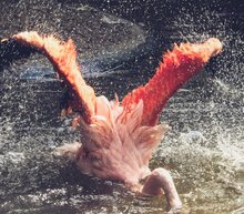 Event grid jonatan lewczuk 742681 unsplash