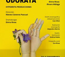 Event grid viola odorata cartel v