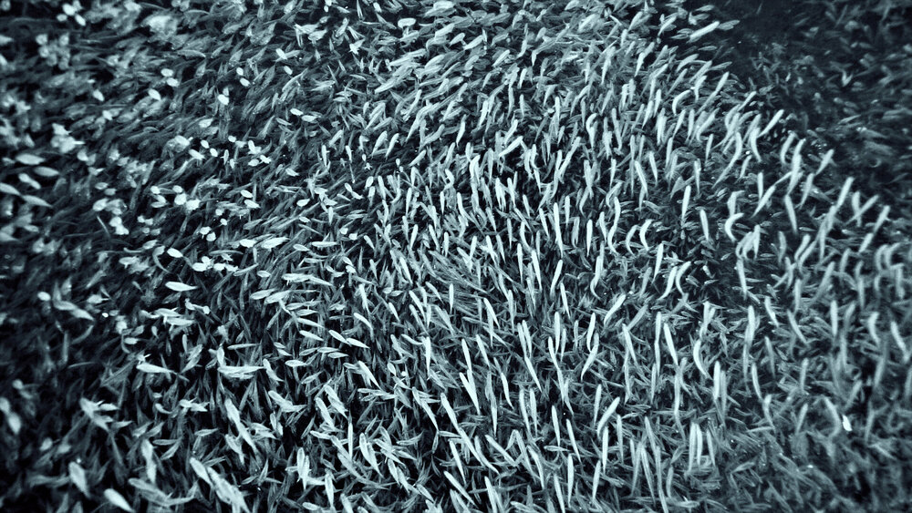 img_3