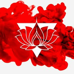 Promoter l 23800299 1931895787061506 1641511713453766102 o