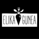Promoter s elikagunea beltza karratua