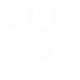 Promoter s zitrovision logo