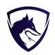 Promoter s logo silikona