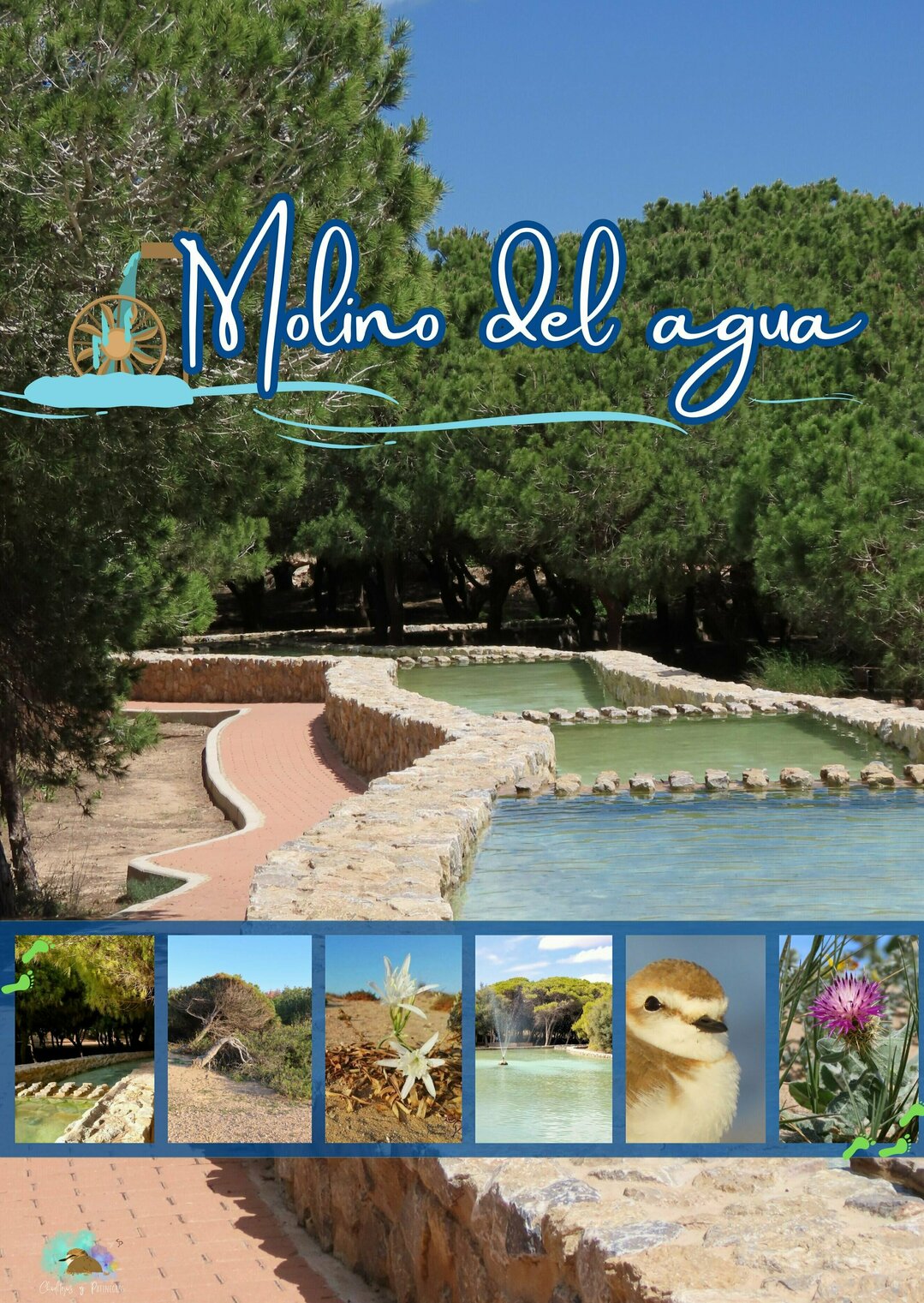 Descubre el Molino del Agua