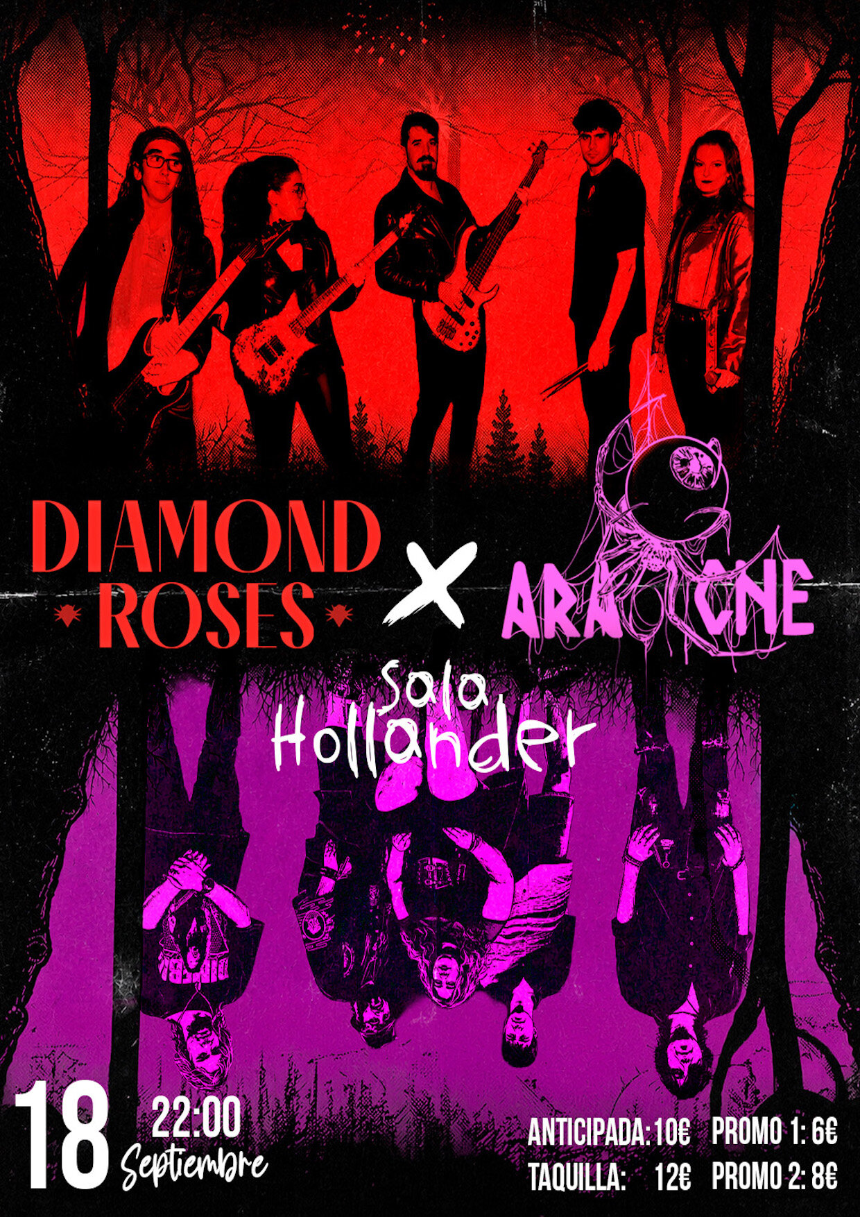 Diamond Roses + Aracne