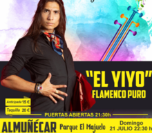 Event grid dise%c3%91os entradas 17