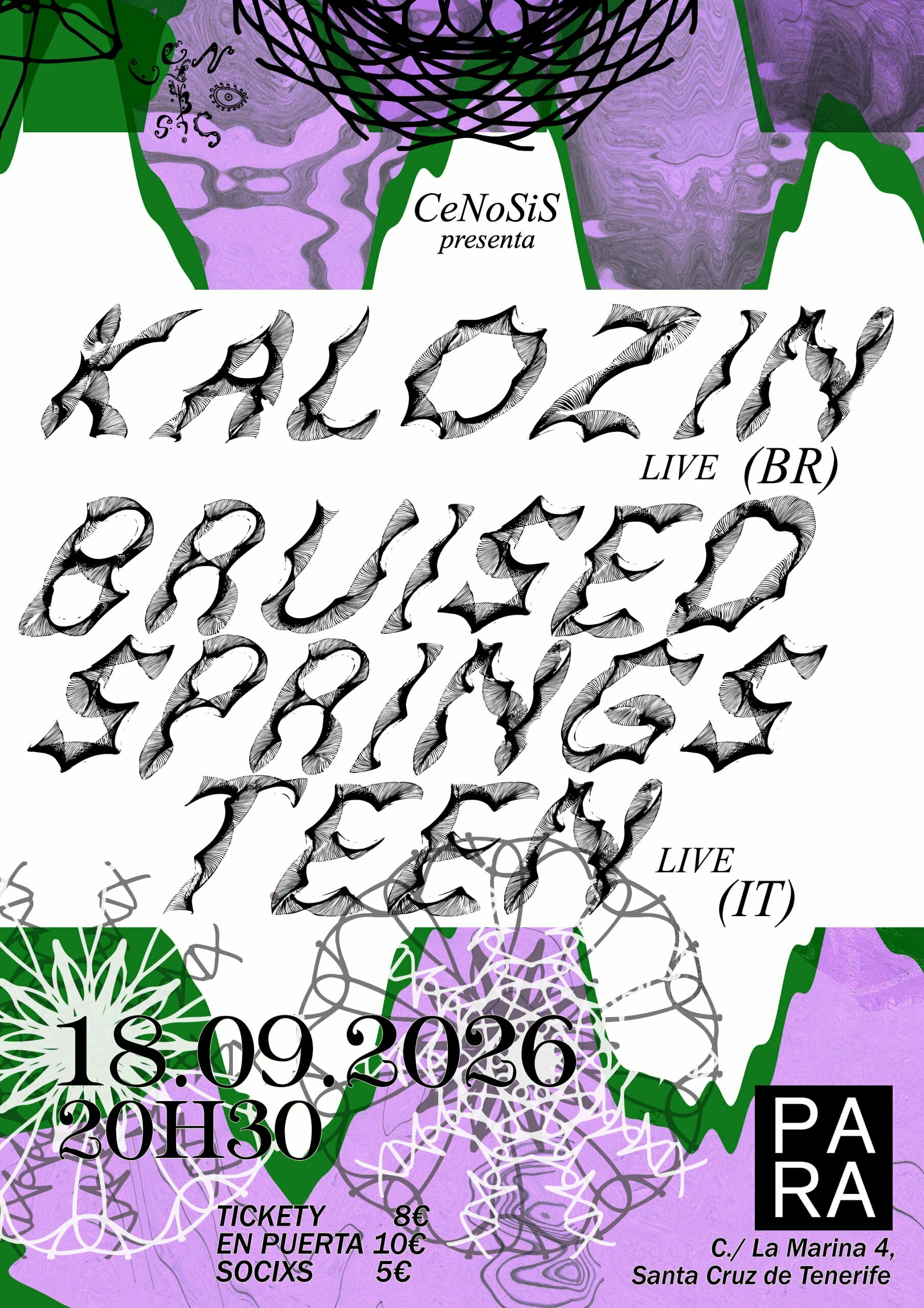 Bruised SpringsTeen + KALOZIN