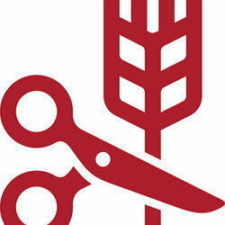 Promoter l acsg last