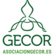 Promoter s gecor logoverde web